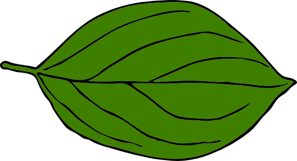 Dark Green Oval Leaf clip art - vector clip art online, royalty ...