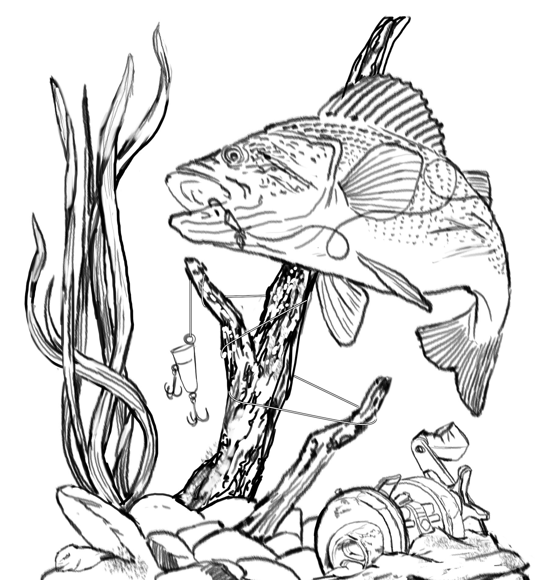 Fish Drawing - ClipArt Best