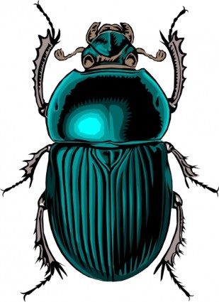 Beetle Bug clip art Vector clip art - Free vector for free ...