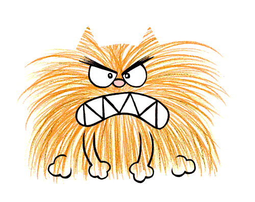 Angry Cat! | The Name Of This Cartoon Is Brunswick