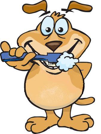 New Years Resolutions: Brushing Your Dogs Teeth - Two Little Cavaliers