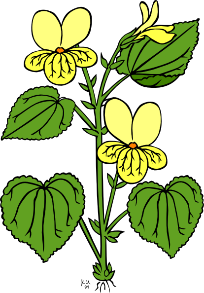 Floral Plant With Green Leaves clip art - vector clip art online ...