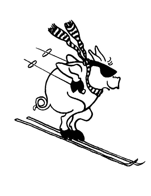 2014 Pig-Group Ski Seminar - Swineweb.com - Complete Swine News ...