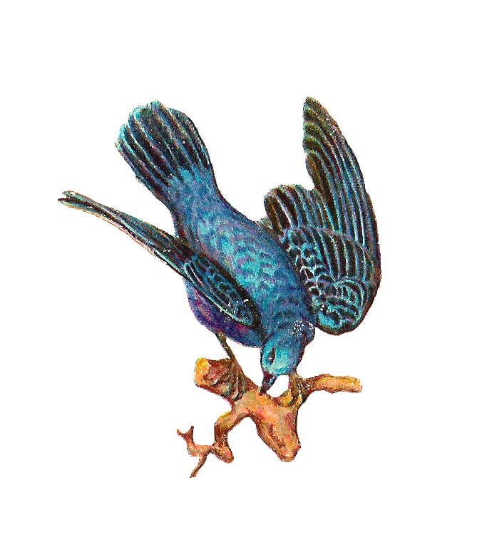 Antique Images: Free Bird Clip Art: Antique Bird Image of Blue ...