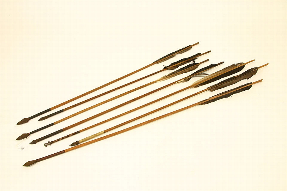 Different Types of Arrows | Predator Coatings