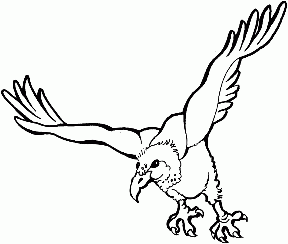 Vector Clip Art Of A Coloring Page Of A Vulture And Zombie With ...