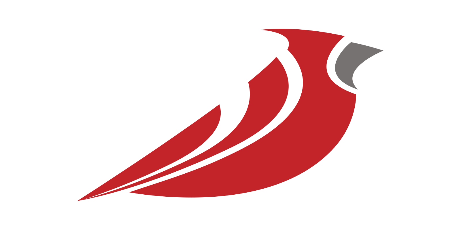 Blackbird: Logo + Graphic Design + Application Development
