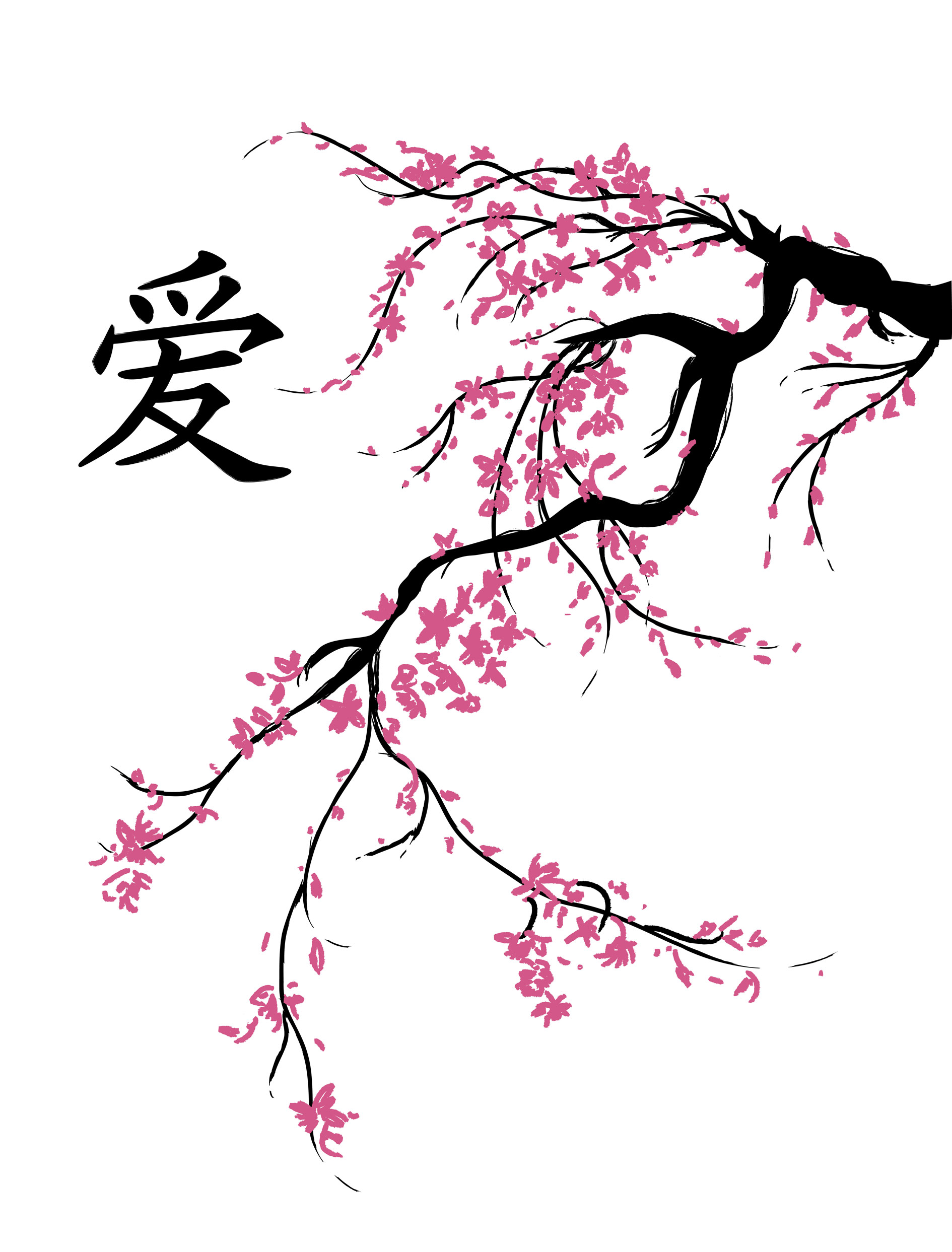 Cherry Blossom Drawing - Gallery
