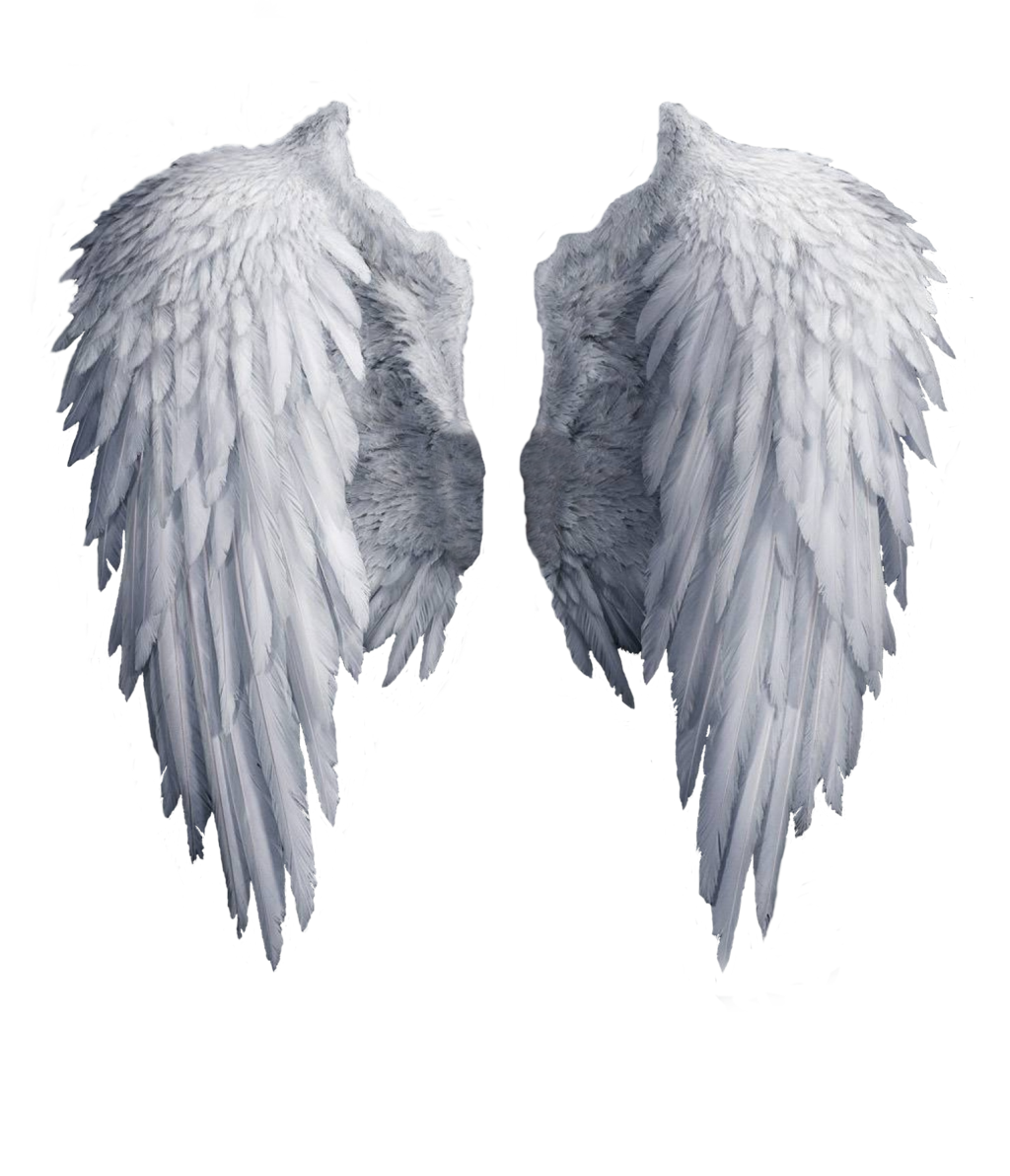 black angel wings stock PNG by Shadow-of-Nemo on DeviantArt