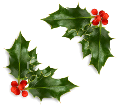 ist2_4713662-christmas-holly-corner.png Photo by italia_lady ...