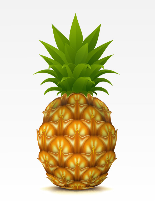 Pineapple vector for free download