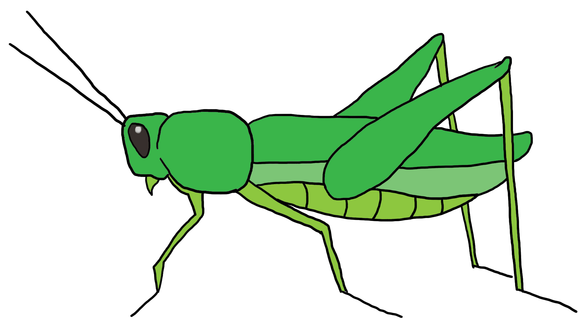 Grasshopper Drawing For Kids | Clipart Panda - Free Clipart Images