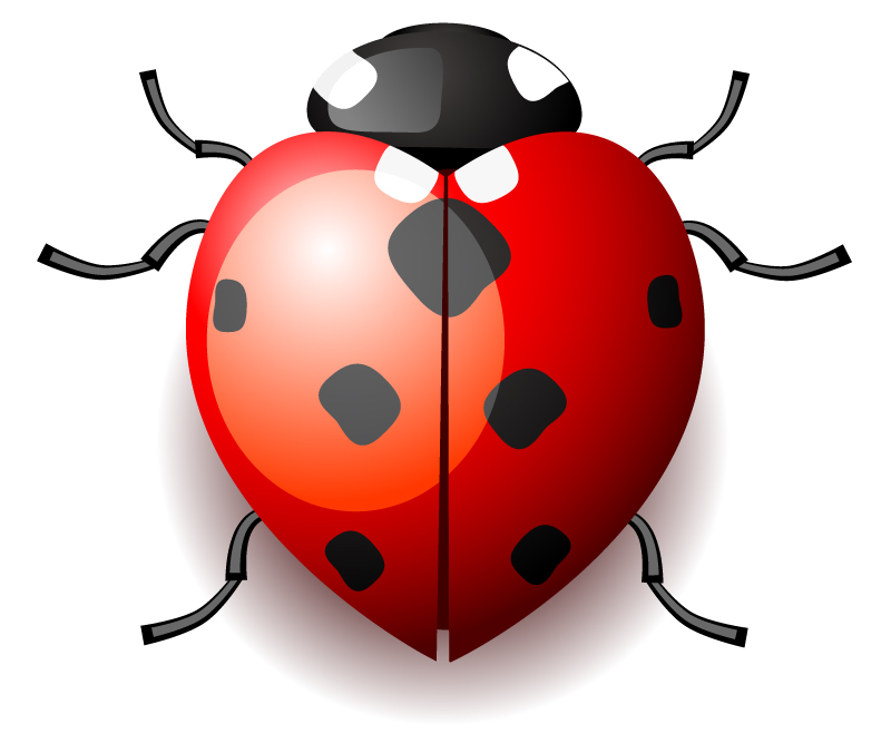 Ladybug | Lazy Drawing