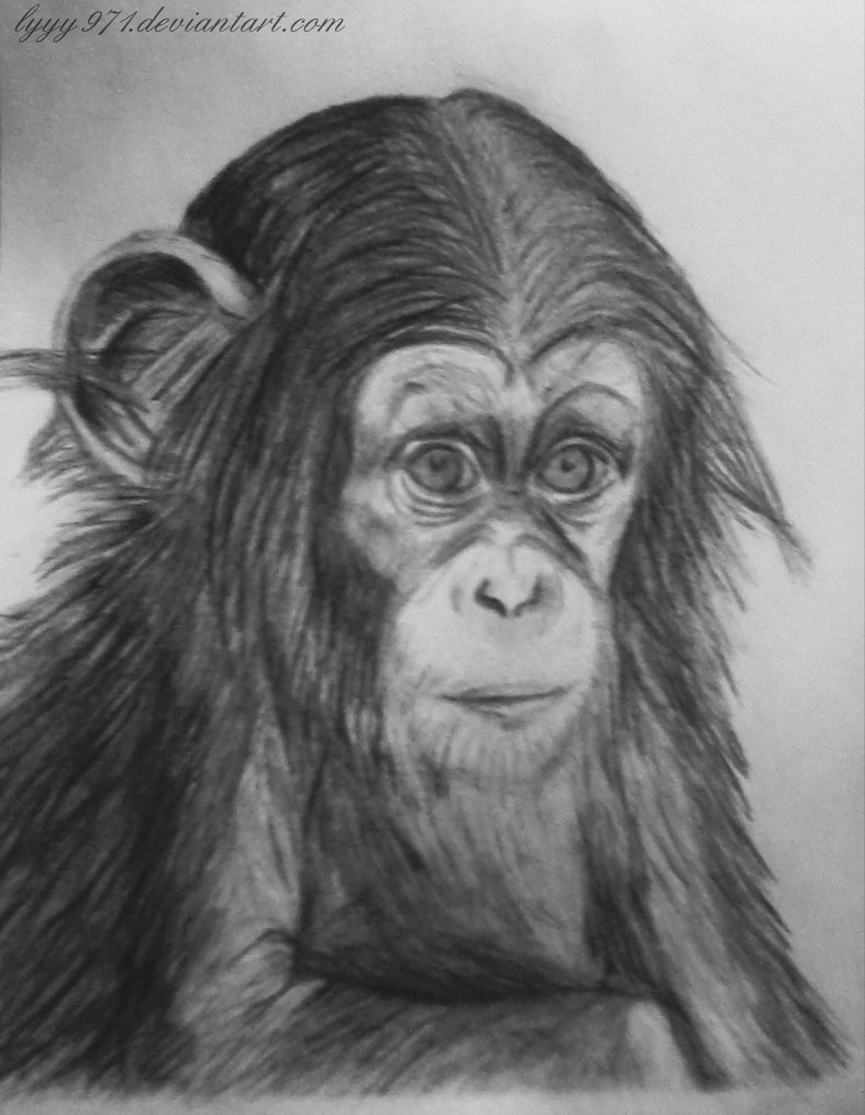 Monkey drawing (dessin singe) by lyyy971 on DeviantArt
