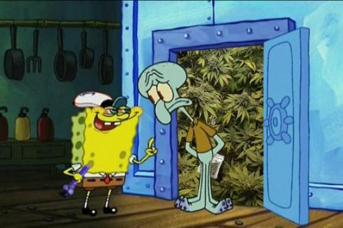 weed marijuana cartoon TV high spongebob squidward smoknig ...