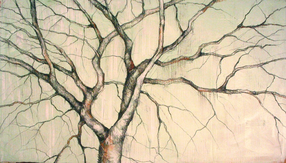 2009 Tree Series Drawings | Beki Borman