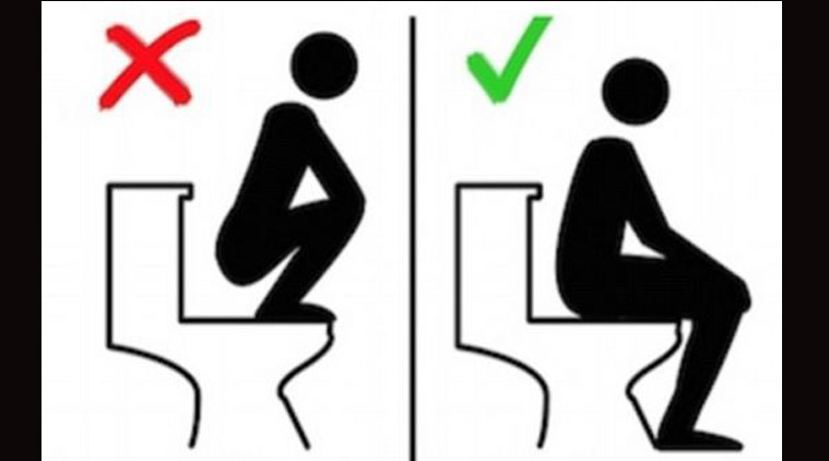 Swiss railway posts 'how-to' toilet signs for Asian tourists | The ...