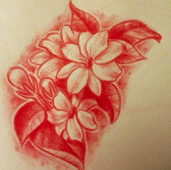 sampaguita drawing cliparts co sampaguita drawing cliparts co