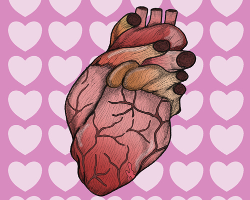 The Real Heart By javierhammad | Love Cartoon | TOONPOOL