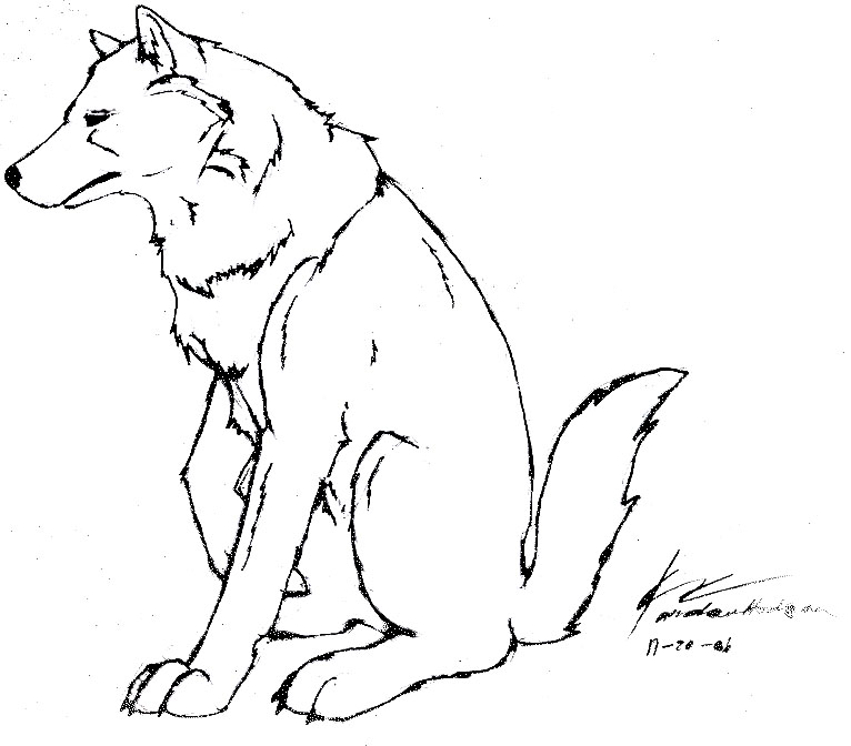 Simple Wolf Head Drawing - Gallery