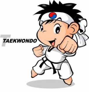 Kids Taekwondo - Village of Monee