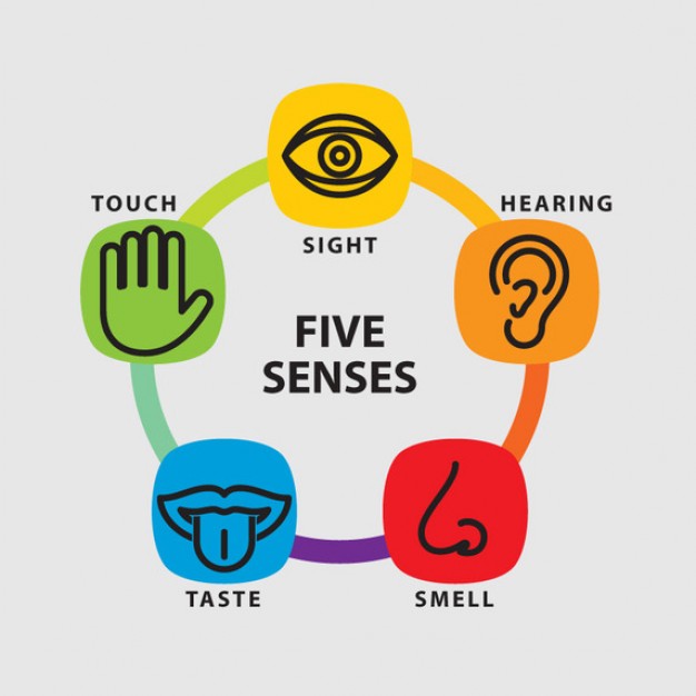 The 5 senses on emaze