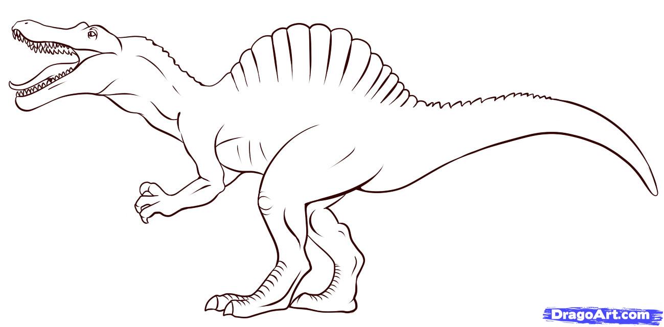 How to Draw a Spinosaurus, Step by Step, Dinosaurs, Animals, FREE ...