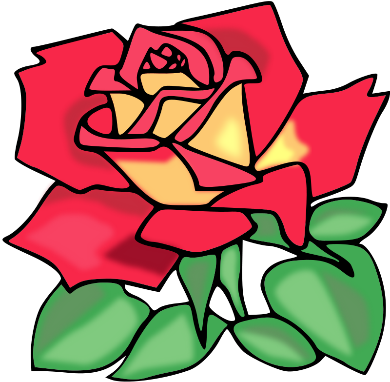 Rose Flower Animation Flash
