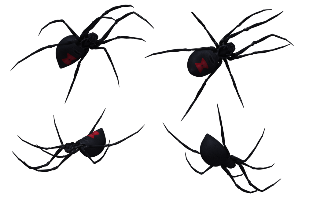 Black Widow Spider Set 05 by Free-Stock-By-Wayne on deviantART