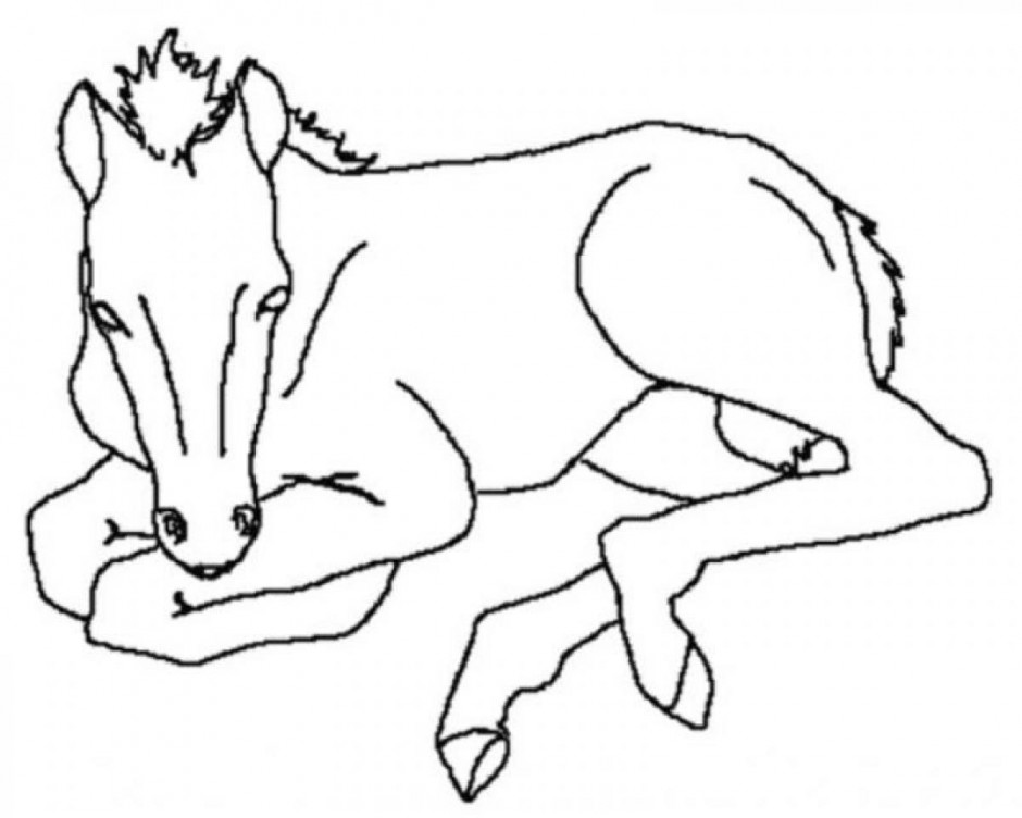 Online Coloring Book Baby Horse Coloring Pages Printable 237519 ...