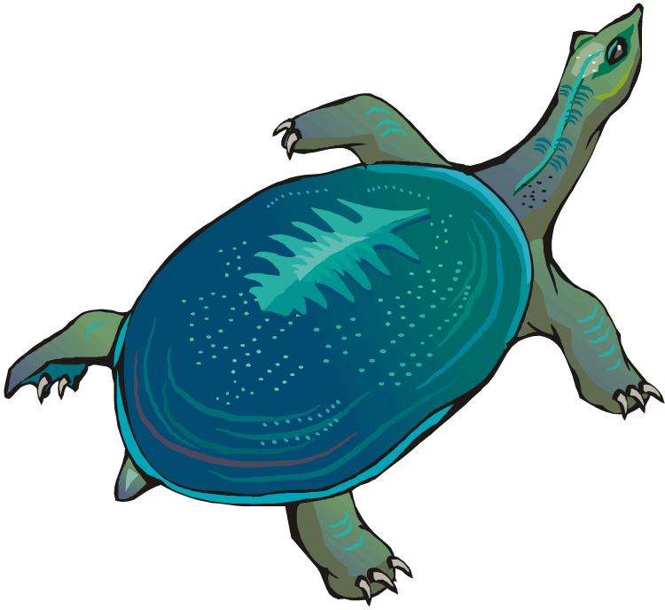 clipart turtle free - photo #36