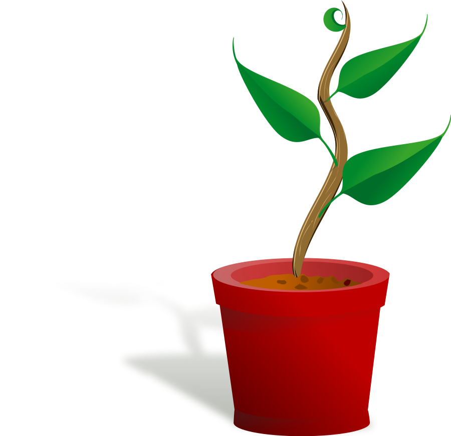 Potted Tree Clipart