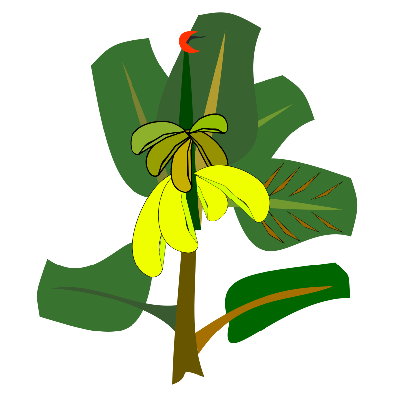 Clipart - bananas on the tree
