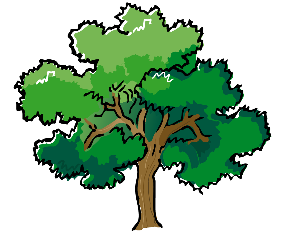 clip art juniper tree - photo #43