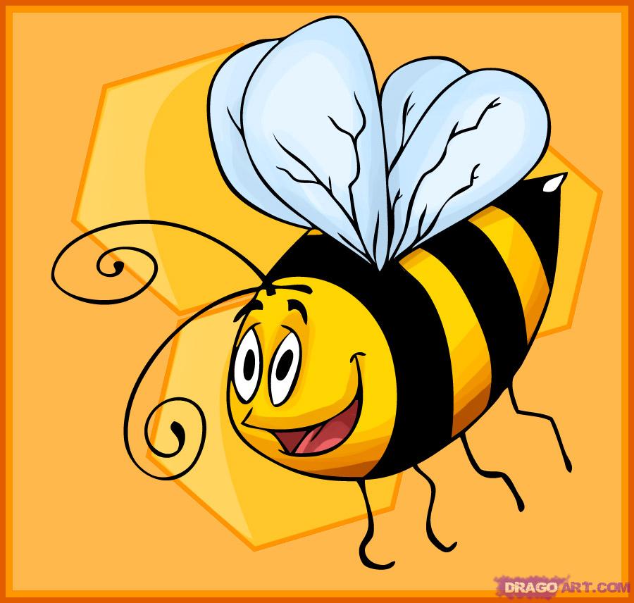 How to Draw a Cartoon Bumble Bee, Step by Step, Bugs, Animals ...