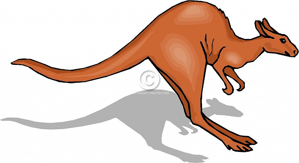 Free Kangaroo Clip Art – Diehard Images, LLC - Royalty-free Stock ...