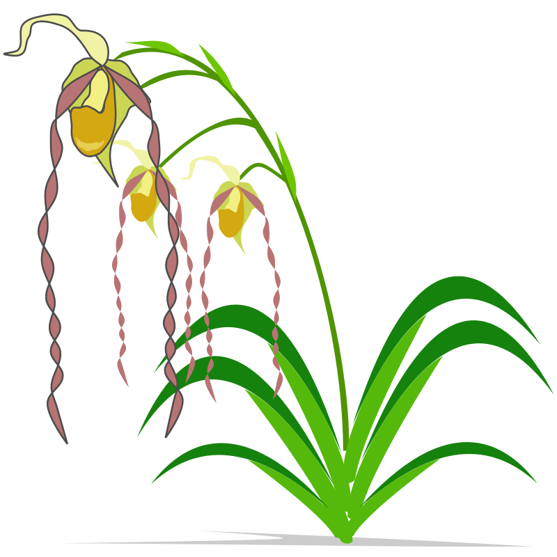 Free to Use & Public Domain Plants Clip Art - Page 3