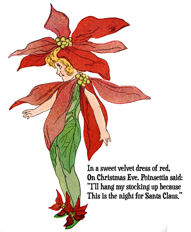 Christmas Poinsettia Flower Child Vintage Illustration @ Vintage ...