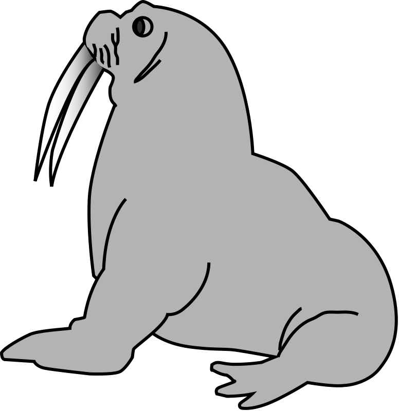 Harp Seal Clip Art Download