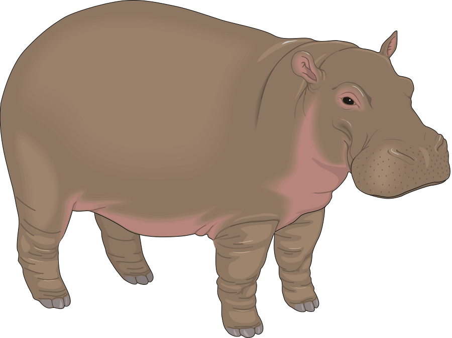 Sky Diver Hippo Clipart, vector clip art online, royalty free ...