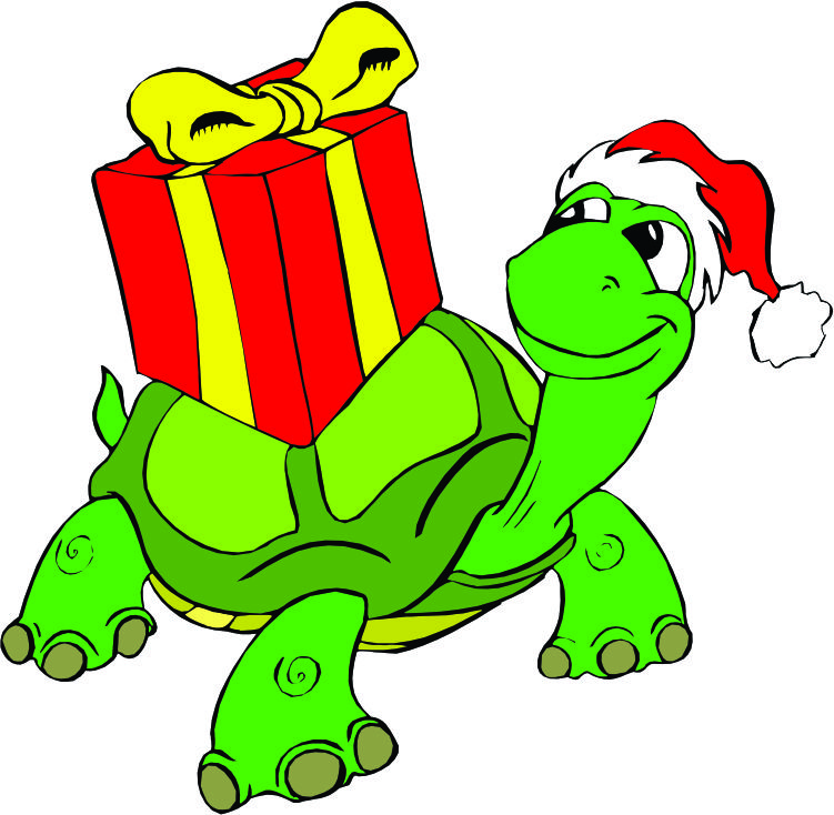 Cartoon Turtle With Present Images Download Free Wallpapers ...