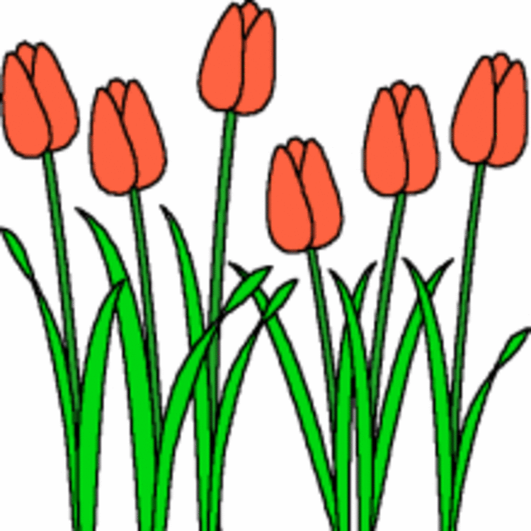 spring tulips clip art - photo #31