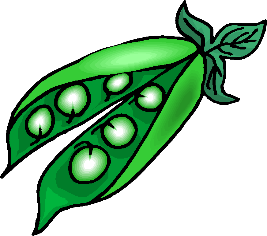 clipart of green beans - photo #4