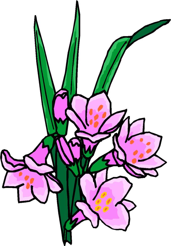 clip-art-flowers-380016.jpg