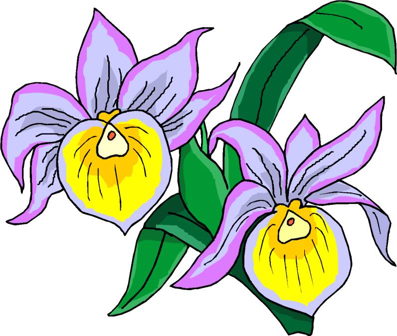 Bing Clipart Images