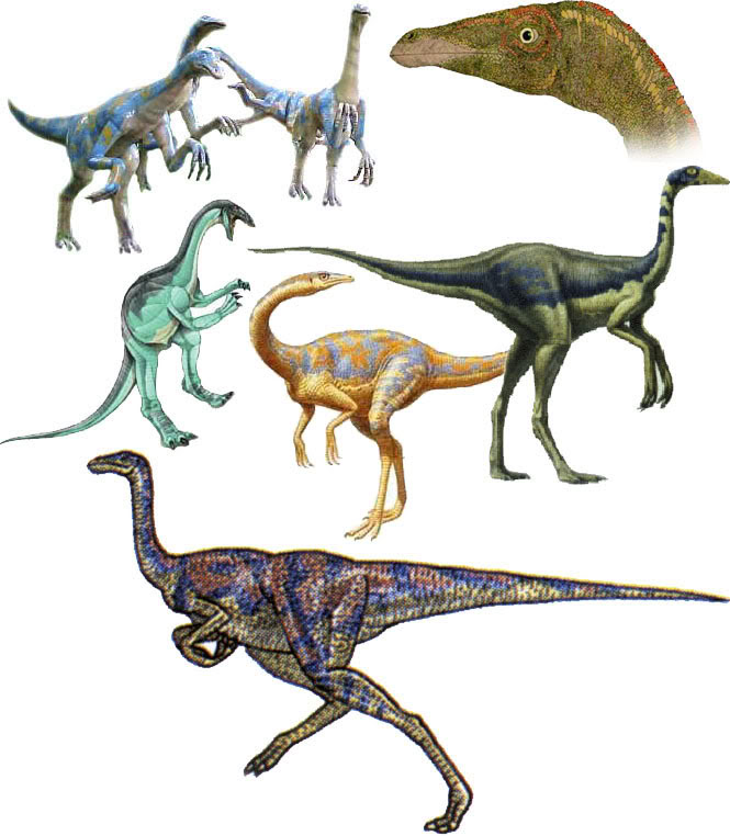 WHAT IS YOUR FAVORITE DINOSAUR
