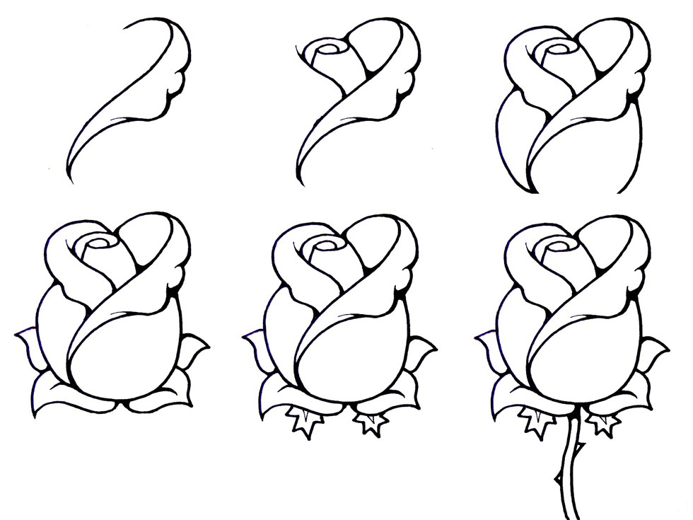 flower drawing step by step 33