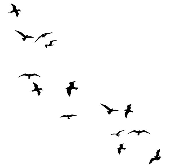 Birds flying away silhouette line | bird | Pinterest