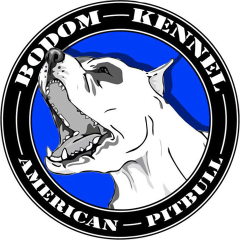 Bodom Kennel - Logo Design on Behance