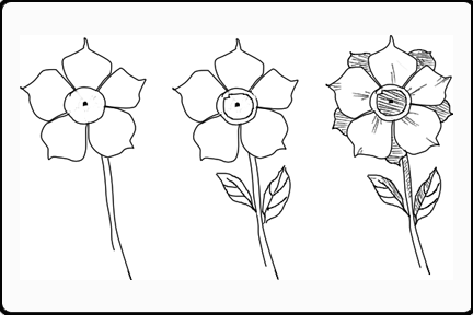 Drawings of Flowers for Beginners | When Drawing Flowers Becomes a ...